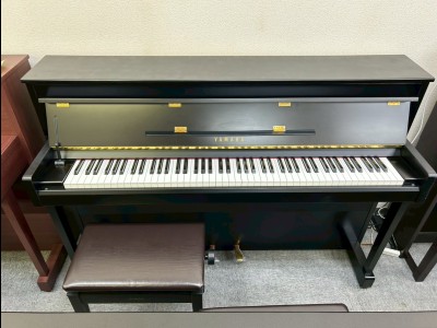 DUP-10